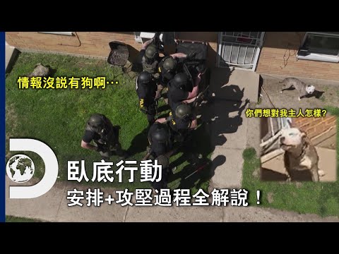 攻堅危險毒販過程全解說～ 然後人家竟然還養了一隻看門狗！《臥底行動》每星期四晚間 11 點播出