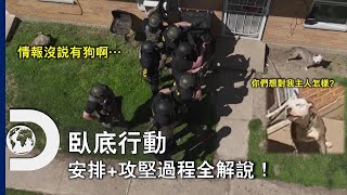 攻堅危險毒販過程全解說～ 然後人家竟然還養了一隻看門狗！《臥底行動》每星期四晚間 11 點播出