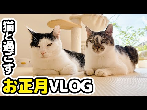 【年末年始の過ごし方】猫と一緒にのんびり過ごすお正月Vlog