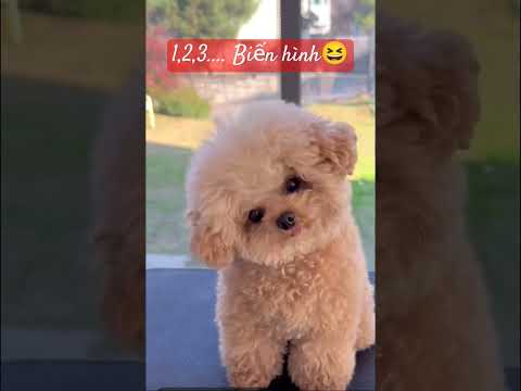 Lâu lâu thay đổi kiểu tóc.