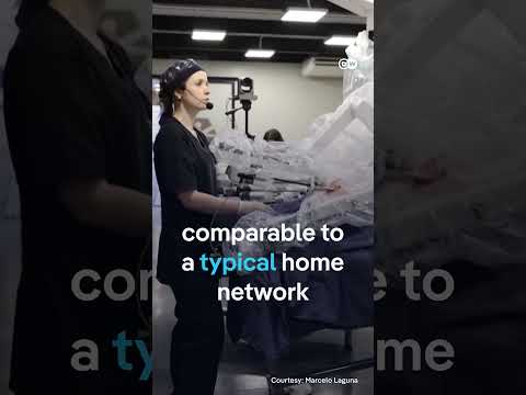 Doctors operate pig remotely | DW News