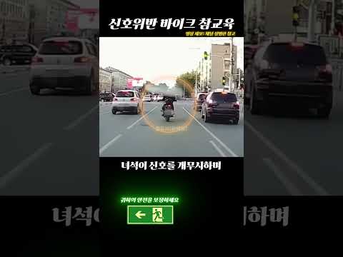 교통단속에 대해 당신이 몰랐던 사실