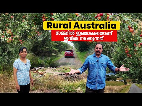 Rural ഓസ്‌ട്രേലിയയിലെ Summer ഇങ്ങനെയൊക്കെയാണ്#australia #fruit #rurallife