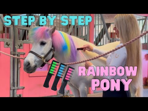 TURN YOUR PONY INTO A RAINBOW UNICORN