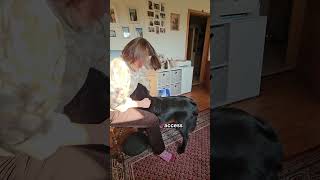 What if it would be forbidden to enter a Spa but you just love massages?