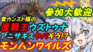 【視聴者参加型】モンスターハンターワイルズ081【VTuber】