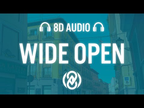 Disco Lines & No/Me - Wide Open | 8D Audio 🎧