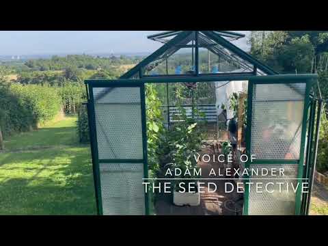 THE SEED DETECTIVE: Welcome to My Greenhouse