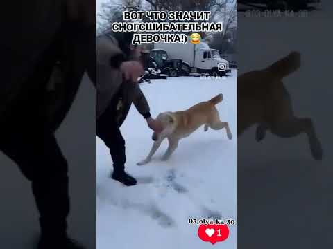 Зара снесла) #юмор #прикол #мемы #топ #мемасики #фильм #смех #roflmemes #memes #кино #рофл