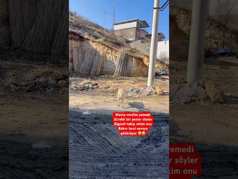Bakın beni nereye götürüyor🥺🥺#shortvideo #shortsvideo #short