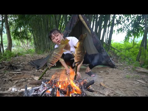 Camping in the forest with cooking fish - Relax with wild nature sounds