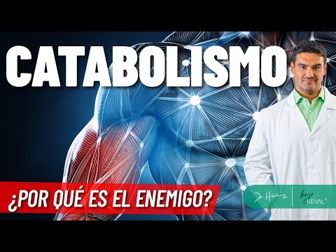 Todo sobre el Catabolismo: Clave para Entender el Metabolismo