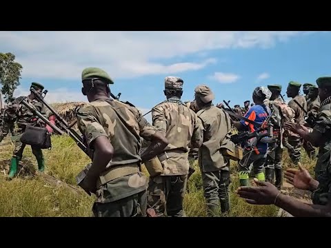 Urgent. FARDC consolide leurs positions, renfort de RDF signalé le soir de ce samedi 11/1/25