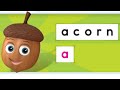Phonics and Word Recognition Assessment