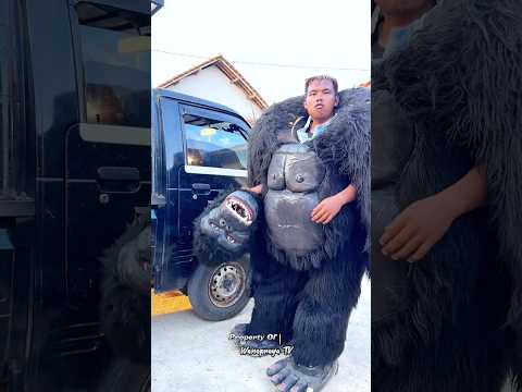 Cara Melepas Kostum King Kong