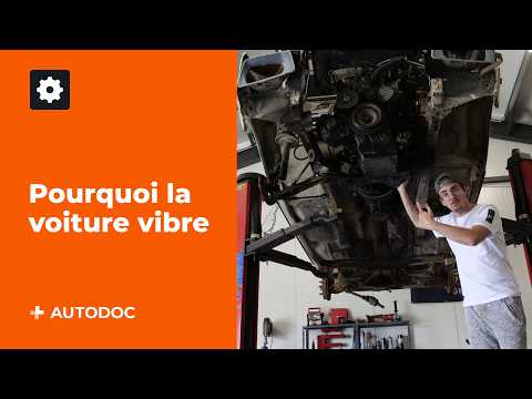 5 raisons pour lesquelles la voiture vibre | AUTODOC