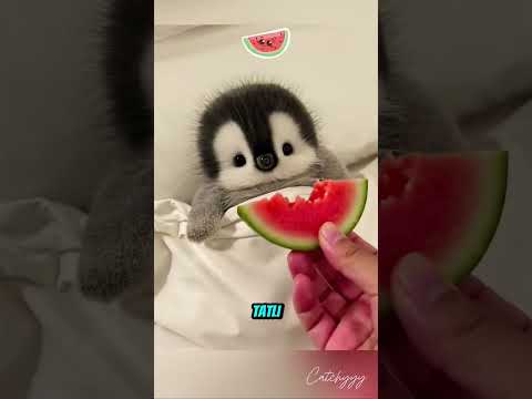 Çocuklar denizde yüzmesin diye babanın yöntemi 💖💗😯
