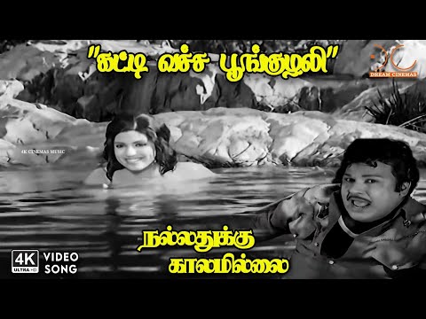 Katti Vacha Poonguzhali - Nallathukku Kalamillai | TM Soundarajan | Vaali | 4K Video Song #4ksongs
