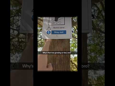 This is vine worthy🤣🤣 #subscribe #memehub #funnymemes #amazingmemes #funnyimages #funny #fypシ゚
