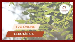 TVC Online: la botánica, el conocimiento sobre las plantas