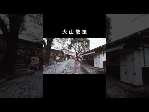 12月中的犬山城楓葉也太美了 #犬山 #犬山城 #日本