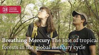 Breathing Mercury: The role of tropic forests in the global mercury cycle