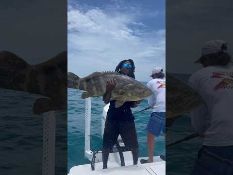 BIG BAITS CATCH BIG FISH ๐ณ๐ฃ #fishing #shorts #hoodfishing