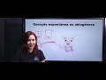 Teorias sobre a Origem da Vida