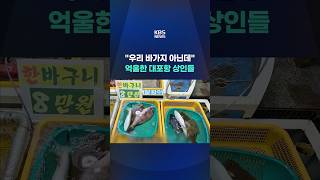 "우리 바가지 아닌데"…억울한 대포항 상인들 #shorts / KBS