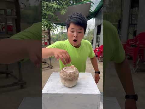 Dừa Rau Câu Và Kẹo Mút 🍭 #shorts