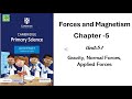 Understanding Forces and Motion Concepts