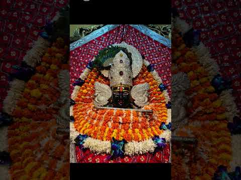 #Jay Shri Shyam Bhajan ji 🙏🏻🙏🏻🙏🏻🙏🏻🙏🏻🙏🏻🙏🏻🙏🏻🙏🏻🙏🏻