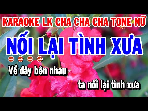 Karaoke Liên Khúc Cha Cha Nhạc Sống Tone Nữ Dễ Hát | Nối Lại Tình Xưa – Chút Kỷ Niệm Buồn