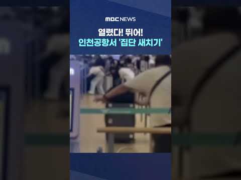 열렸다! 뛰어! 인천공항서 '집단 새치기' #Shorts (MBC뉴스)
