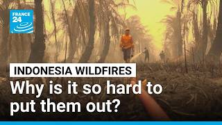 YouTube video thumbnail: Indonesia Continues to Battle Wildfires, With Nearly 2 Million Hectares Burned