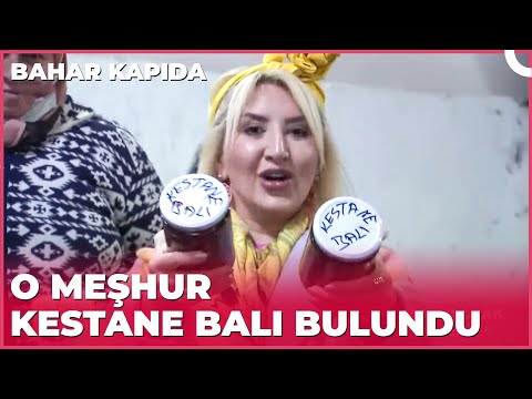 Kestane Balının Diyarı Zonguldak'tan Herkese Selamlar | Bahar Kapıda - Zonguldak 