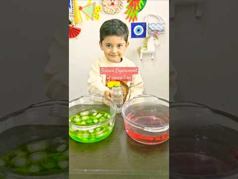 Science experiment of Covection #craftchutney2 #scienceexperiment #kids #youtubeshorts