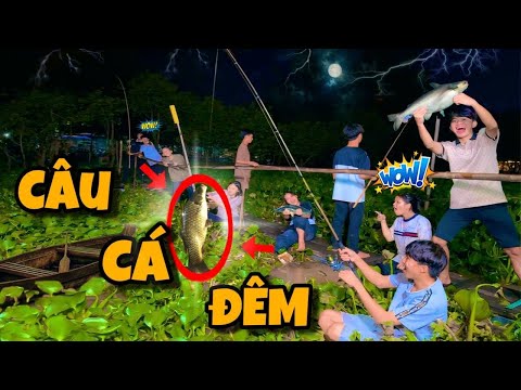 Anh Ba Phải | Thử Thách Câu Cá Đêm 🐟  | Night Fishing