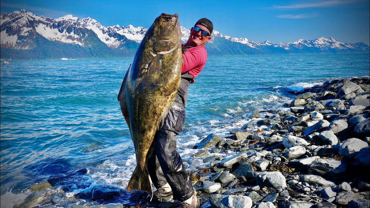 Giant Alaskan HALIBUT on a RENTAL boat! Catch Clean Cook my biggest EVER