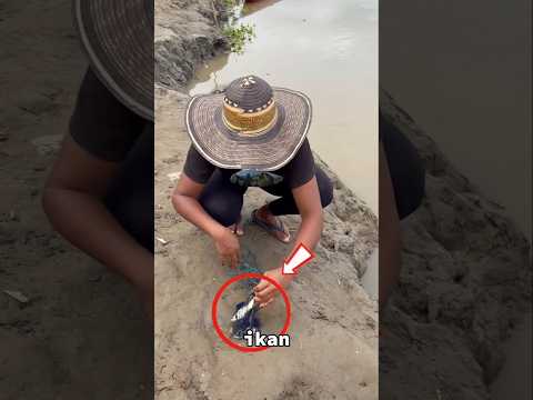 jala kecil tapi dapat ikan besar!#shortvideo #shorts