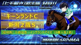 ＜キーンランドカップ＆新潟2歳ステークス＞【ヒモ解き】激走馬 発見！2025