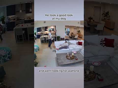 Beautiul Moment with our Dog Caught on Camera!
