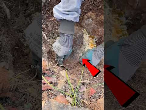 Do not leave this stone #shorts