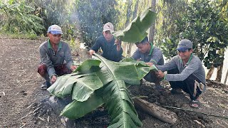 20Kg Cá Chạch • Cá Chạch, Chuột Nướng Trong Mưa Cả Nhà Đều Thích | Bông Lúa Đồng Tháp