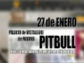 Concierto de Pitbull y DJ Baldy
