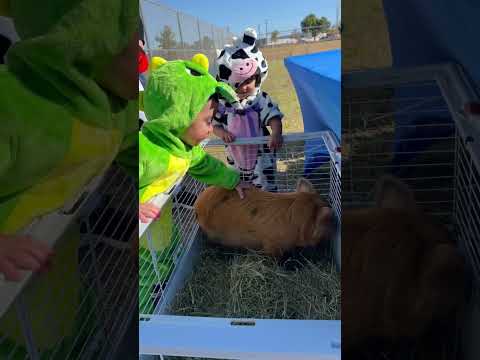 toddler trunk or treats 🎃 #shorts #halloween #halloween2025 #trunkortreat #toddlers #mom #momlife