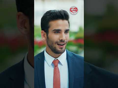 "إنهم سيخرجون لتناول العشاء بدلاً من الاجتماع!" #shorts
