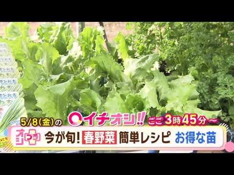 【公式】5月8日（金）イチオシ！！番組予告