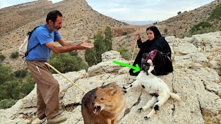 🐾⛰️ Kulthum's Breathtaking Search in the Mountains: 💔🧕 The Painful Story of the Lost Sheep