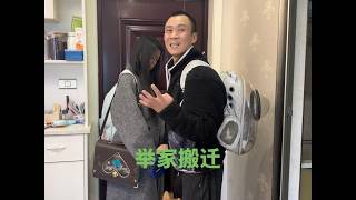 春节过完又到开学季，全家人带上一猫一狗搬家了
